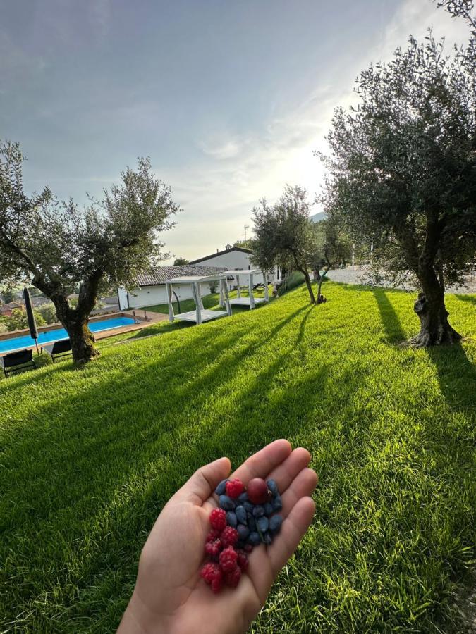 Agriturismo Maison 1933 Caprino Veronese Dış mekan fotoğraf